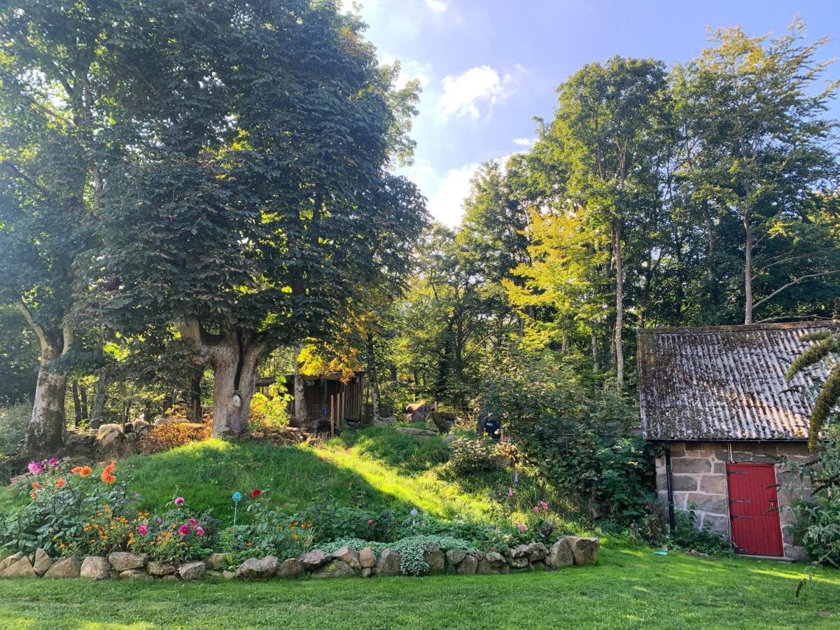 Farm Stay Happy Dogs Ranch Veberod Bagian luar foto