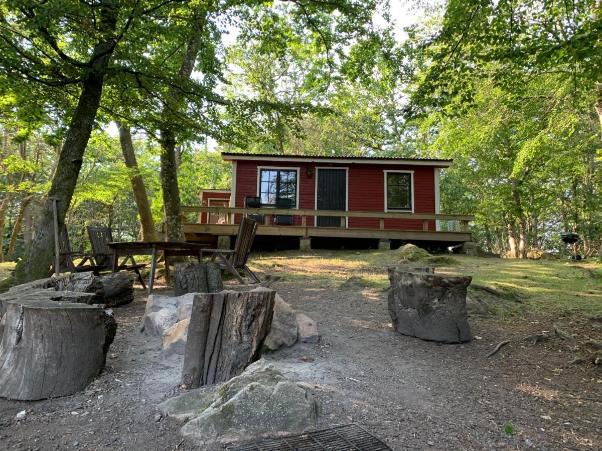 Farm Stay Happy Dogs Ranch Veberod Bagian luar foto