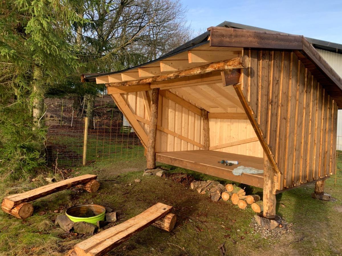 Farm Stay Happy Dogs Ranch Veberod Bagian luar foto