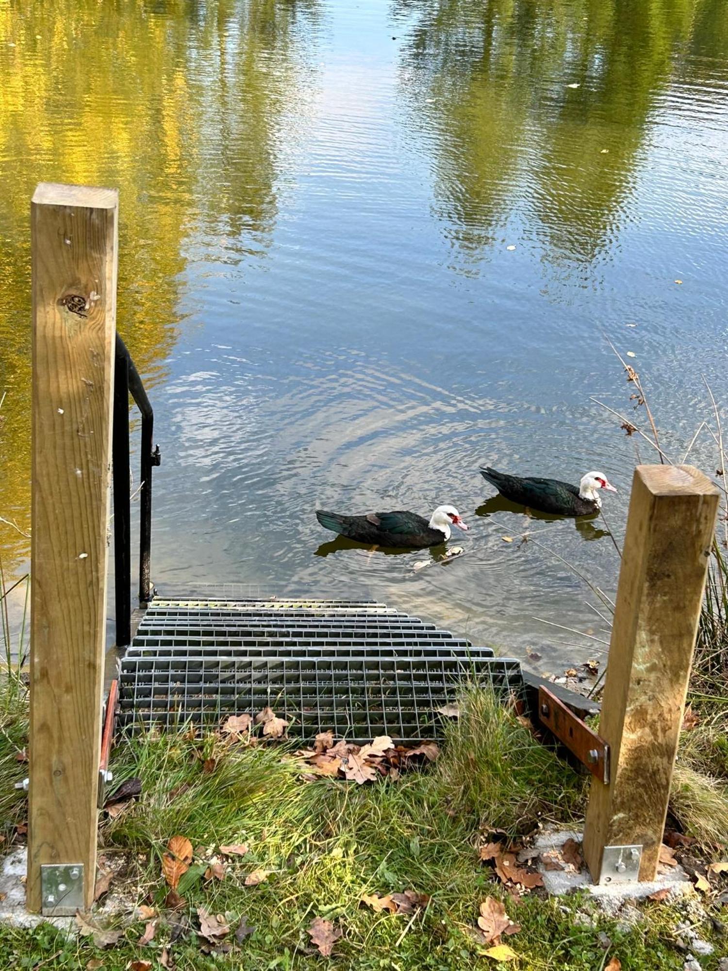 Farm Stay Happy Dogs Ranch Veberod Bagian luar foto