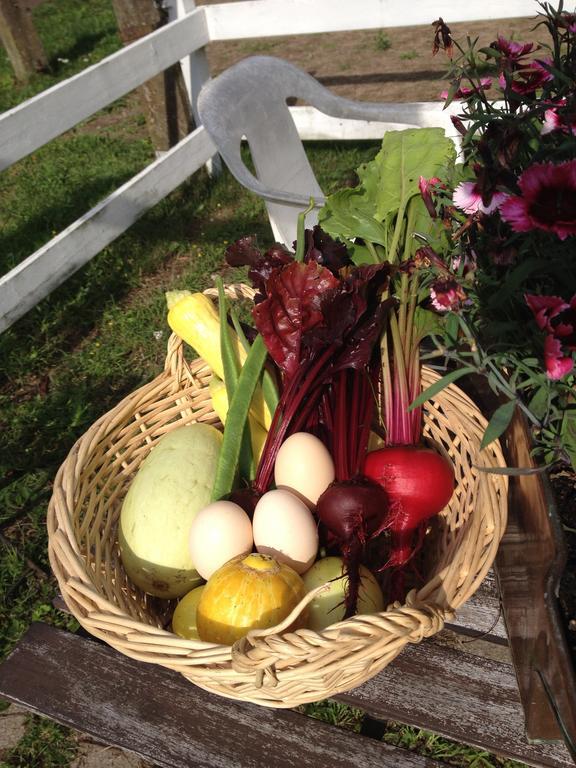 Farm Stay Happy Dogs Ranch Veberod Bagian luar foto