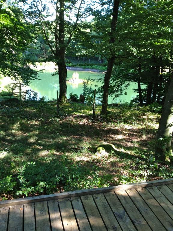 Farm Stay Happy Dogs Ranch Veberod Bagian luar foto
