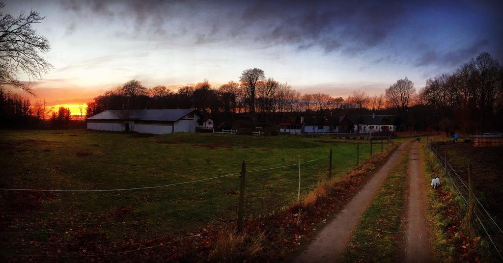 Farm Stay Happy Dogs Ranch Veberod Bagian luar foto