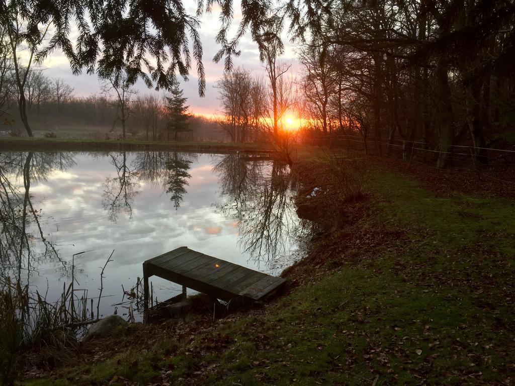 Farm Stay Happy Dogs Ranch Veberod Bagian luar foto