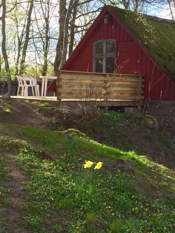 Farm Stay Happy Dogs Ranch Veberod Bagian luar foto