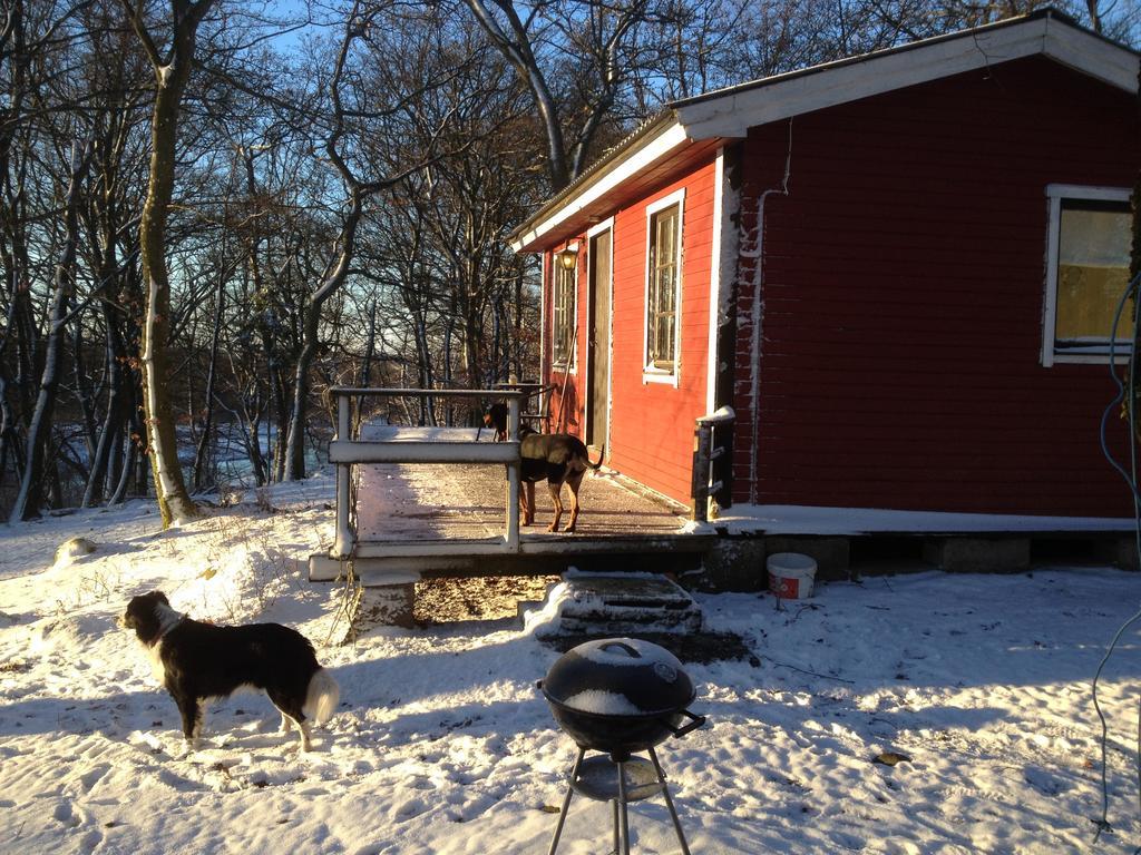 Farm Stay Happy Dogs Ranch Veberod Bagian luar foto