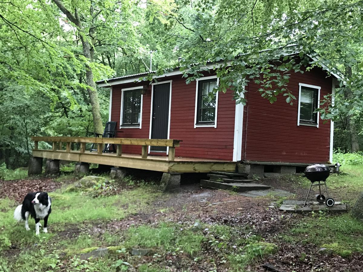 Farm Stay Happy Dogs Ranch Veberod Bagian luar foto