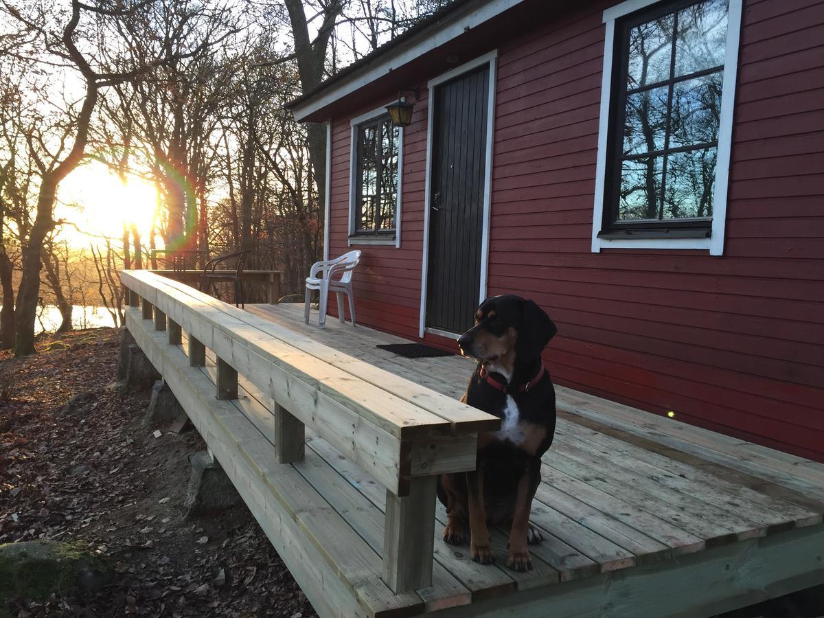 Farm Stay Happy Dogs Ranch Veberod Bagian luar foto