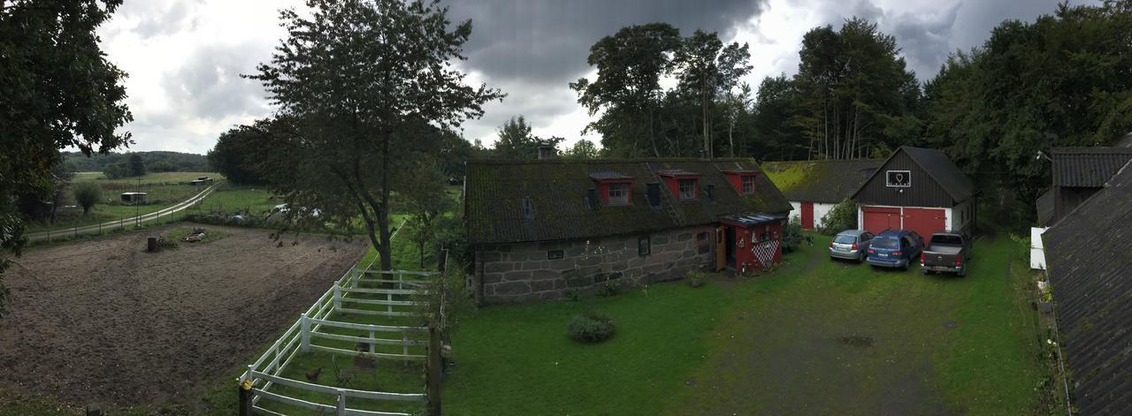 Farm Stay Happy Dogs Ranch Veberod Bagian luar foto