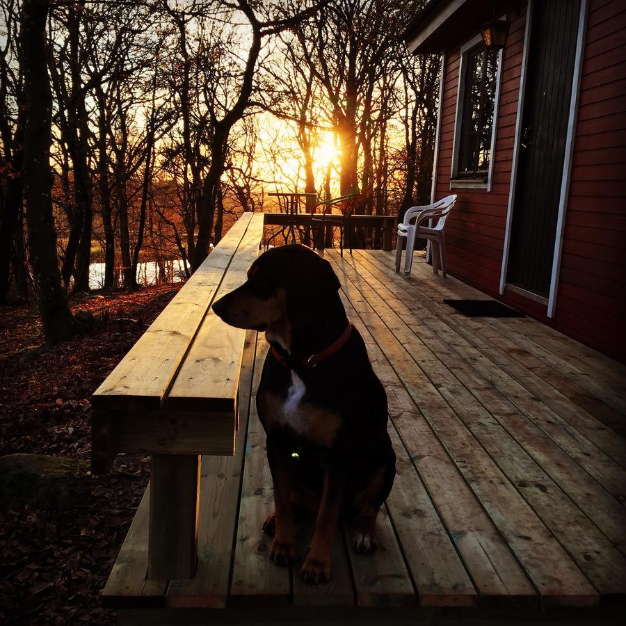 Farm Stay Happy Dogs Ranch Veberod Bagian luar foto