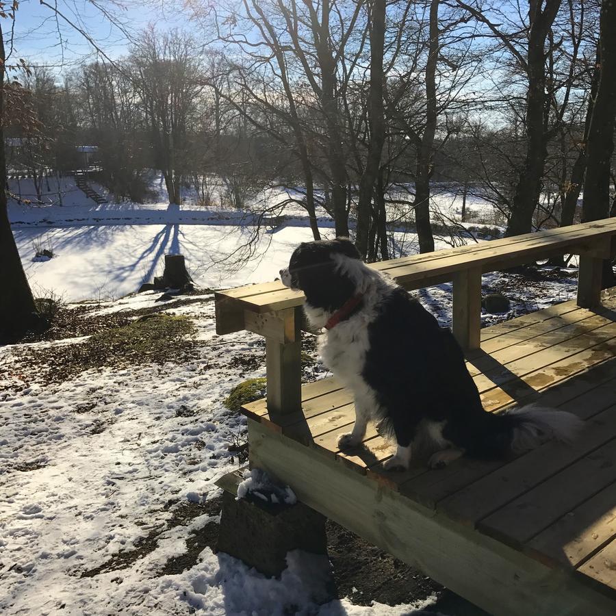 Farm Stay Happy Dogs Ranch Veberod Bagian luar foto